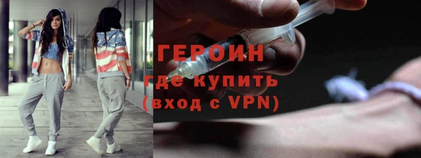 гидра Гатчина