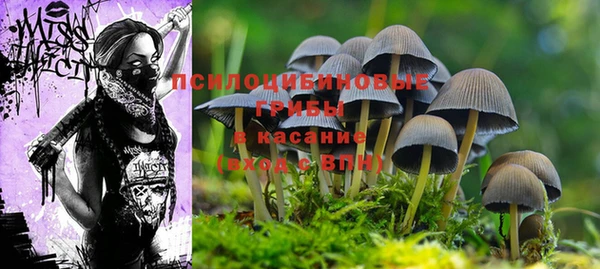 СК Нижнекамск