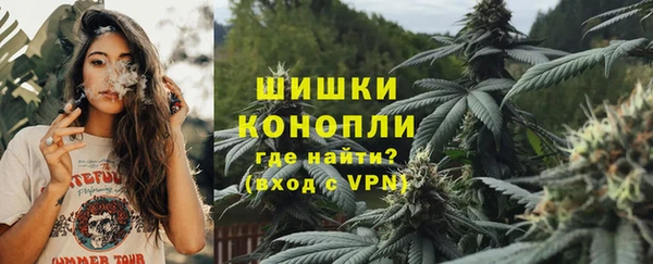 гидра Гатчина