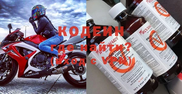 дмт Гвардейск
