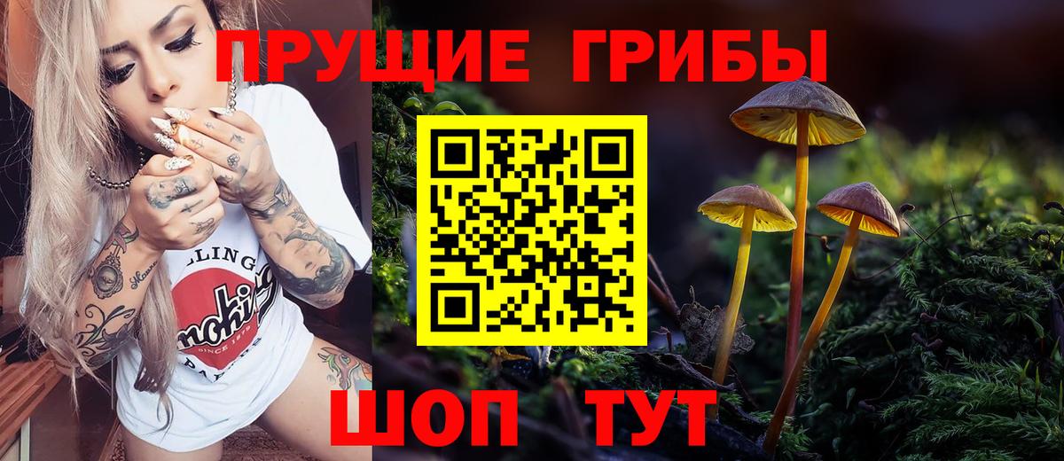 Галлюциногенные грибы Psilocybine cubensis Баксан