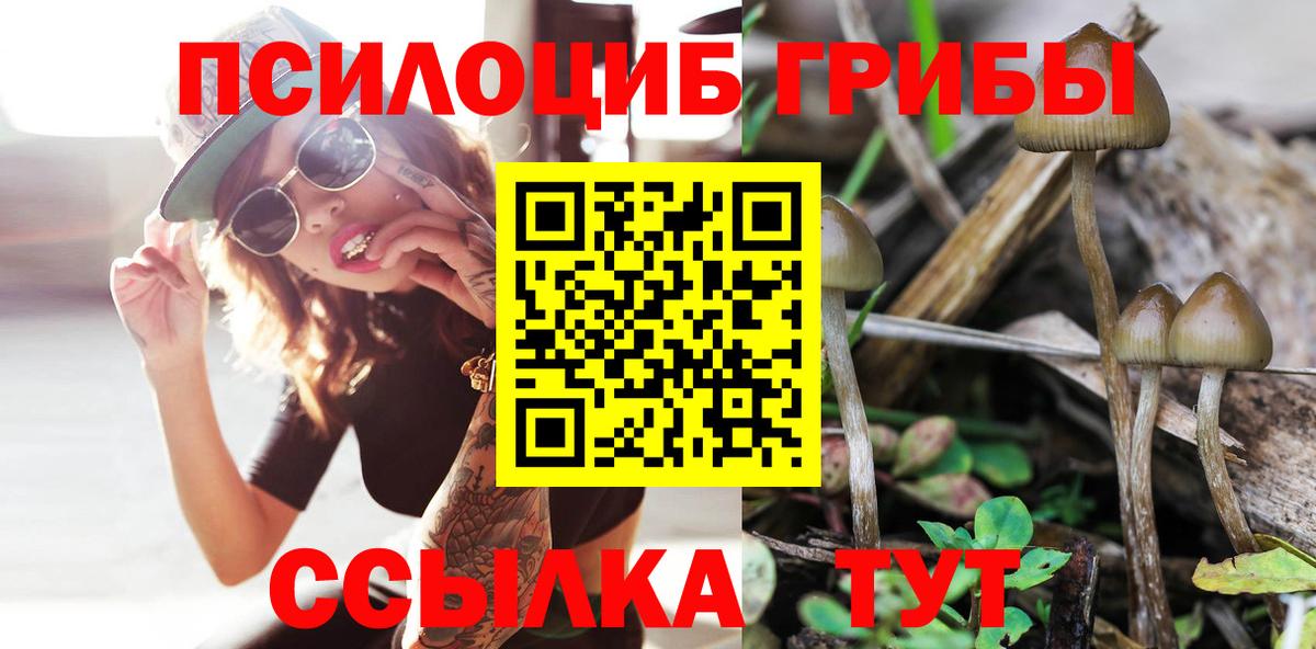 Псилоцибиновые грибы GOLDEN TEACHER Баксан